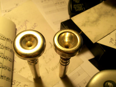Cat's mouthpiece